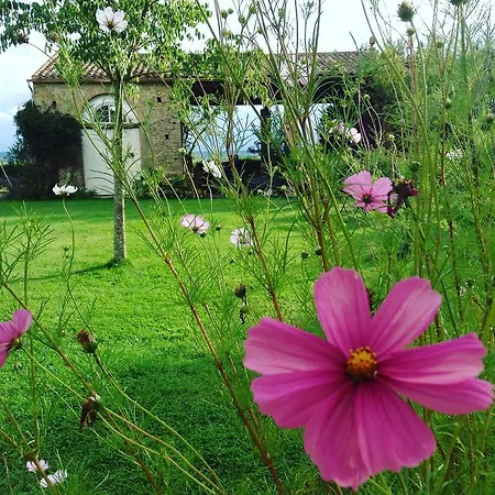 Domaine De Laspeyrisses