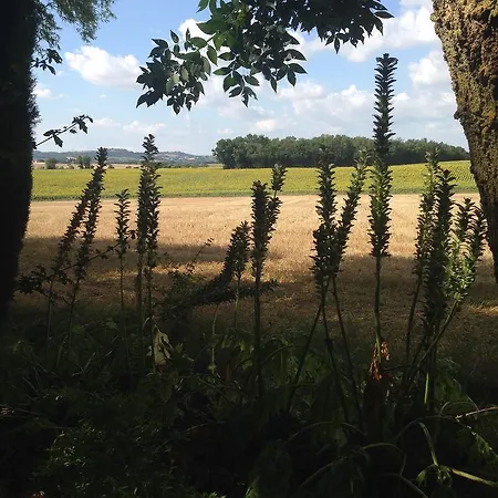 Domaine De Laspeyrisses